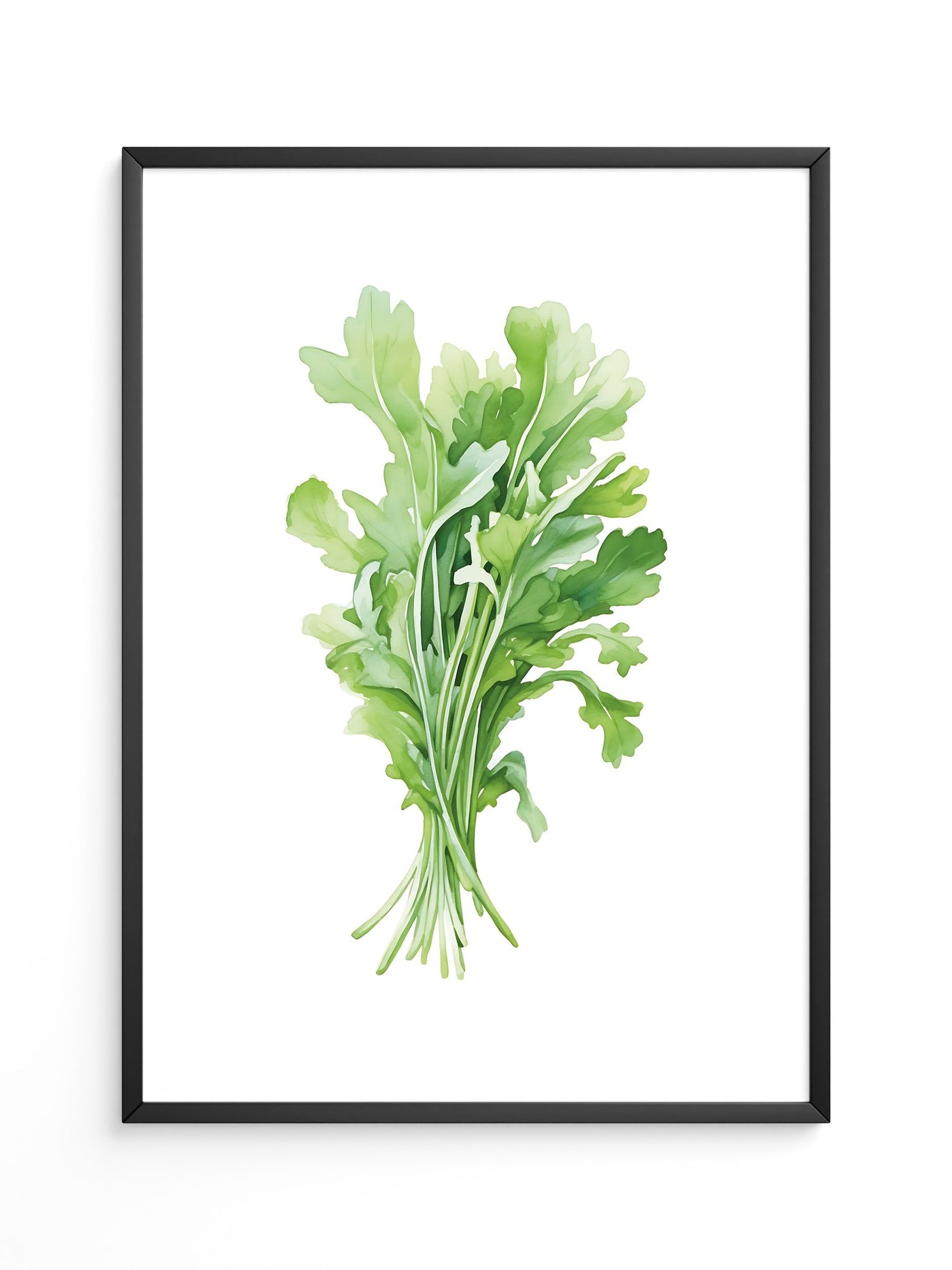 Rucola Aquarell Grünnuancen