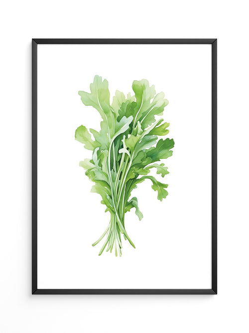 Rucola Aquarell Grünnuancen