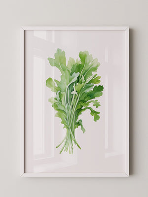 Rucola Aquarell Grünnuancen