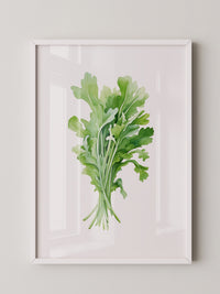Rucola Aquarell Grünnuancen