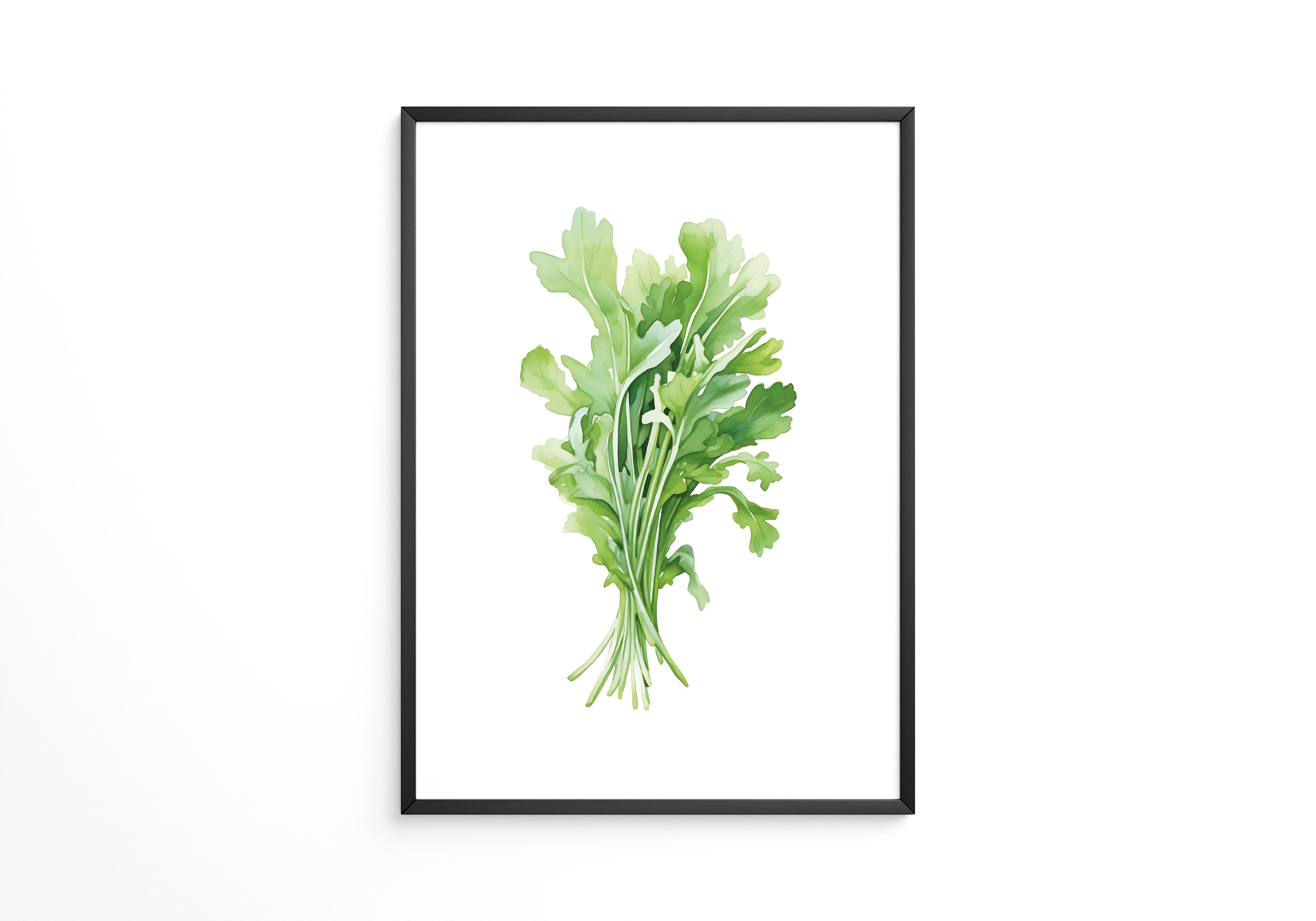 Rucola Aquarell Grünnuancen