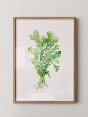 Rucola Aquarell Grünnuancen