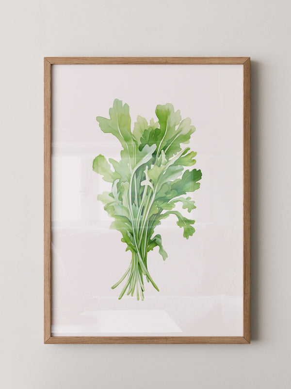 Rucola Aquarell Grünnuancen