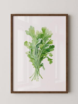 Rucola Aquarell Grünnuancen
