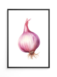 Rote Zwiebel Illustration Pastell