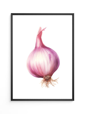 Rote Zwiebel Illustration Pastell
