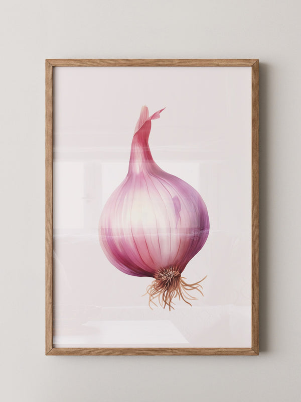 Rote Zwiebel Illustration Pastell