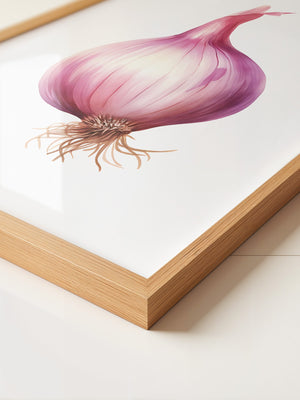 Rote Zwiebel Illustration Pastell