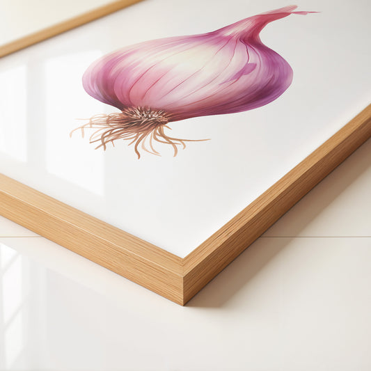 Rote Zwiebel Illustration Pastell