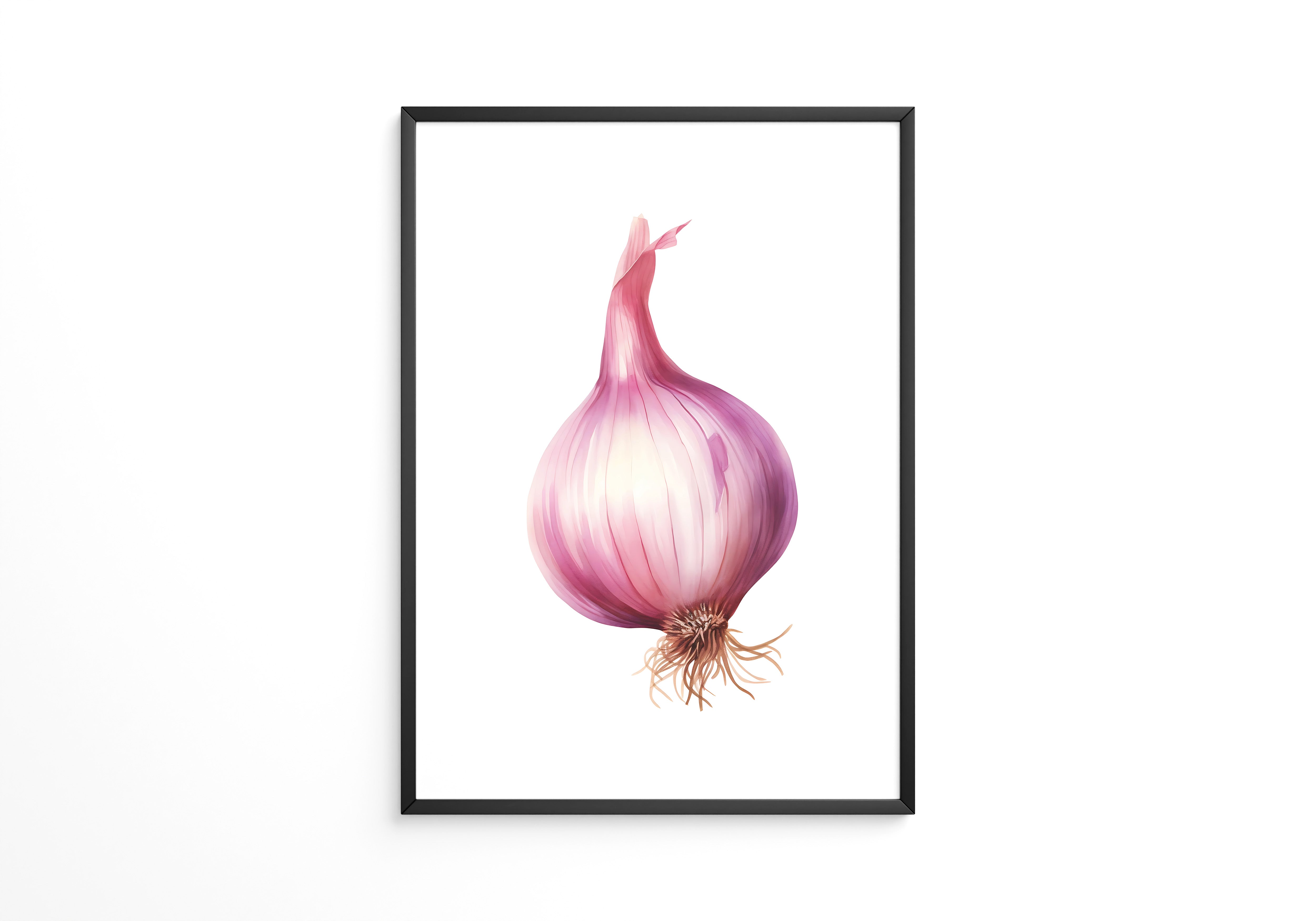 Rote Zwiebel Illustration Pastell