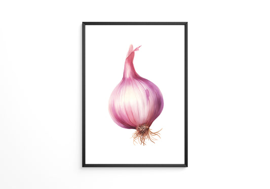 Rote Zwiebel Illustration Pastell