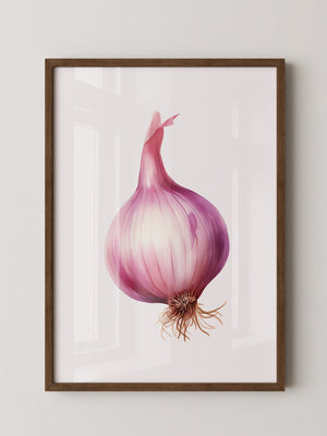 Rote Zwiebel Illustration Pastell