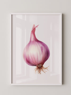 Rote Zwiebel Illustration Pastell