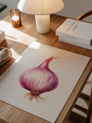 Rote Zwiebel Illustration Pastell