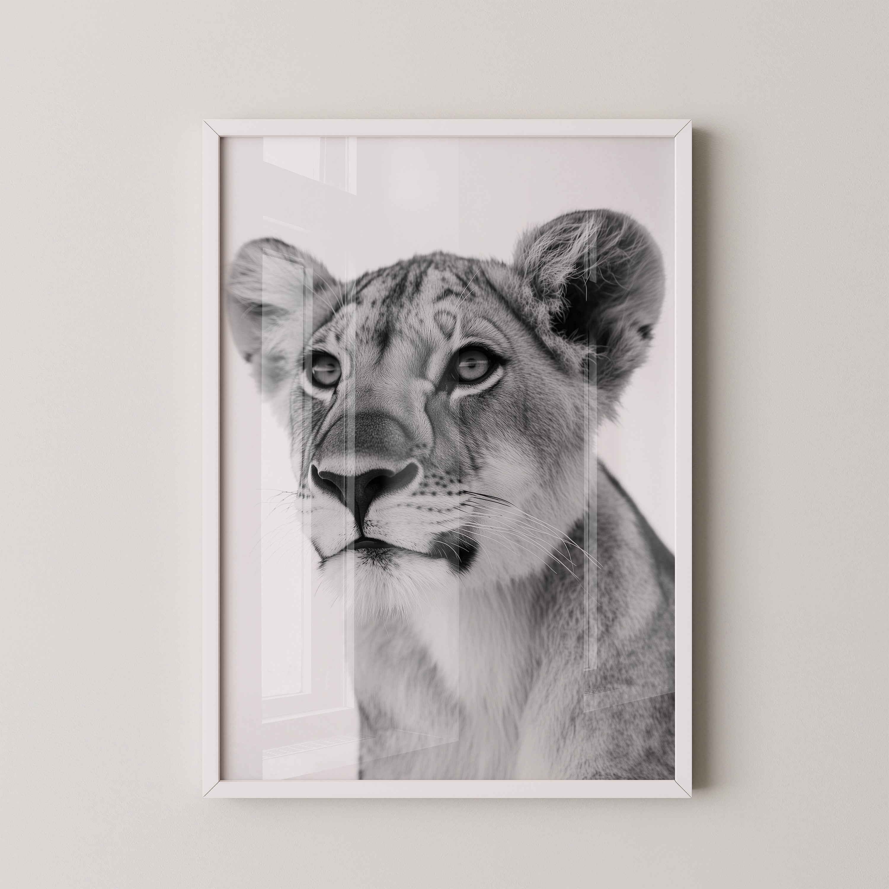 Löwenjunges Schwarzweiß Nahaufnahme