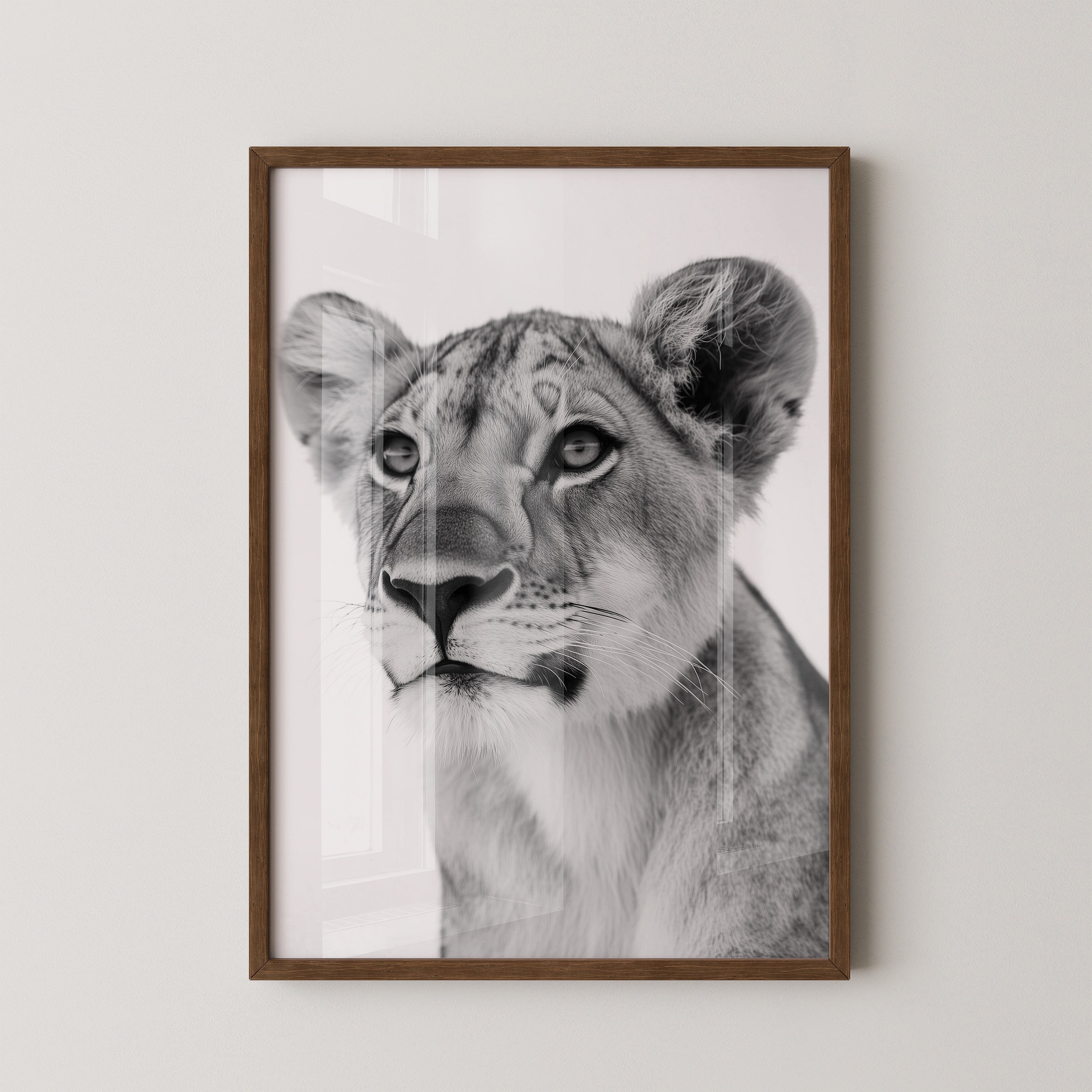 Löwenjunges Schwarzweiß Nahaufnahme