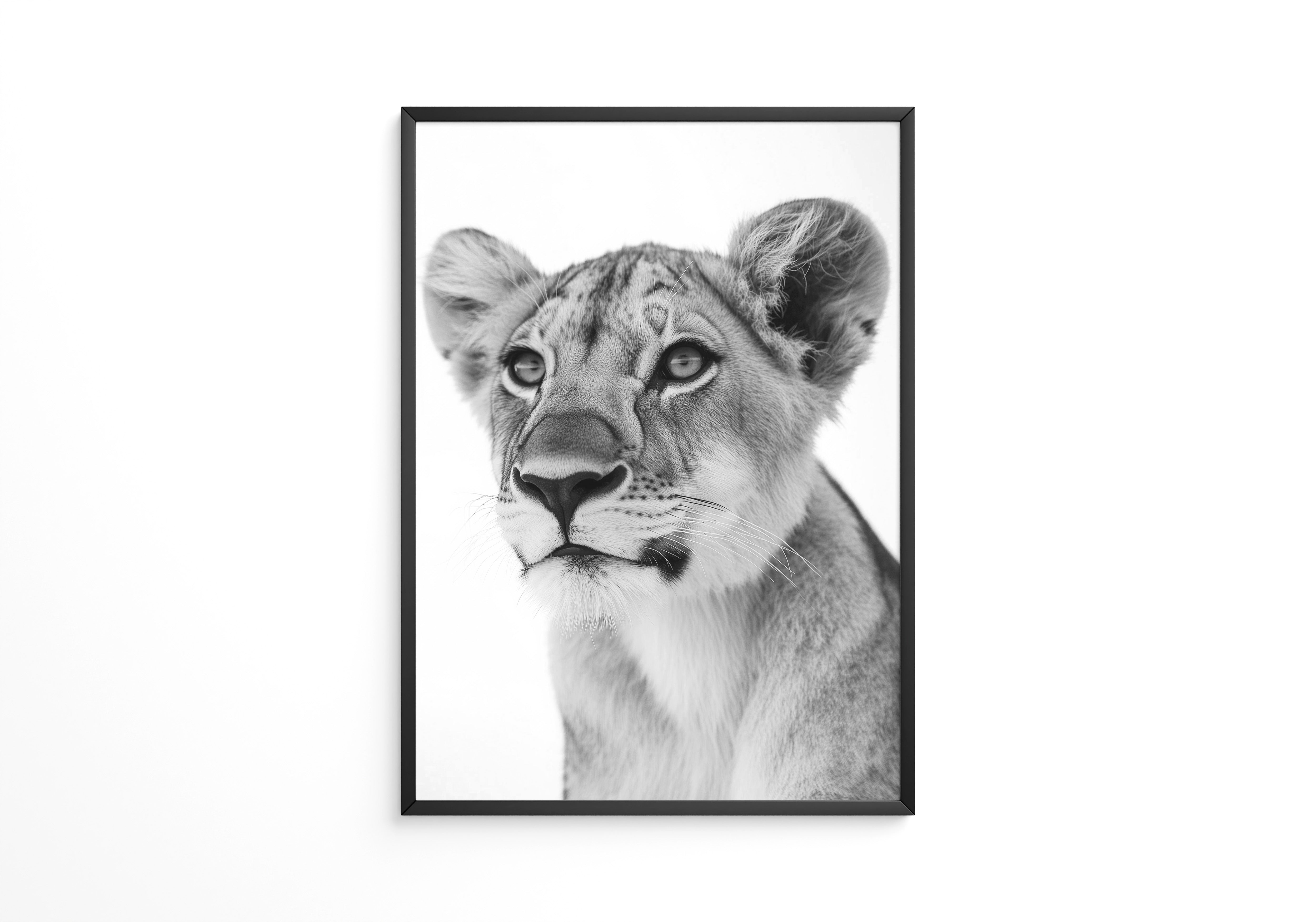 Löwenjunges Schwarzweiß Nahaufnahme