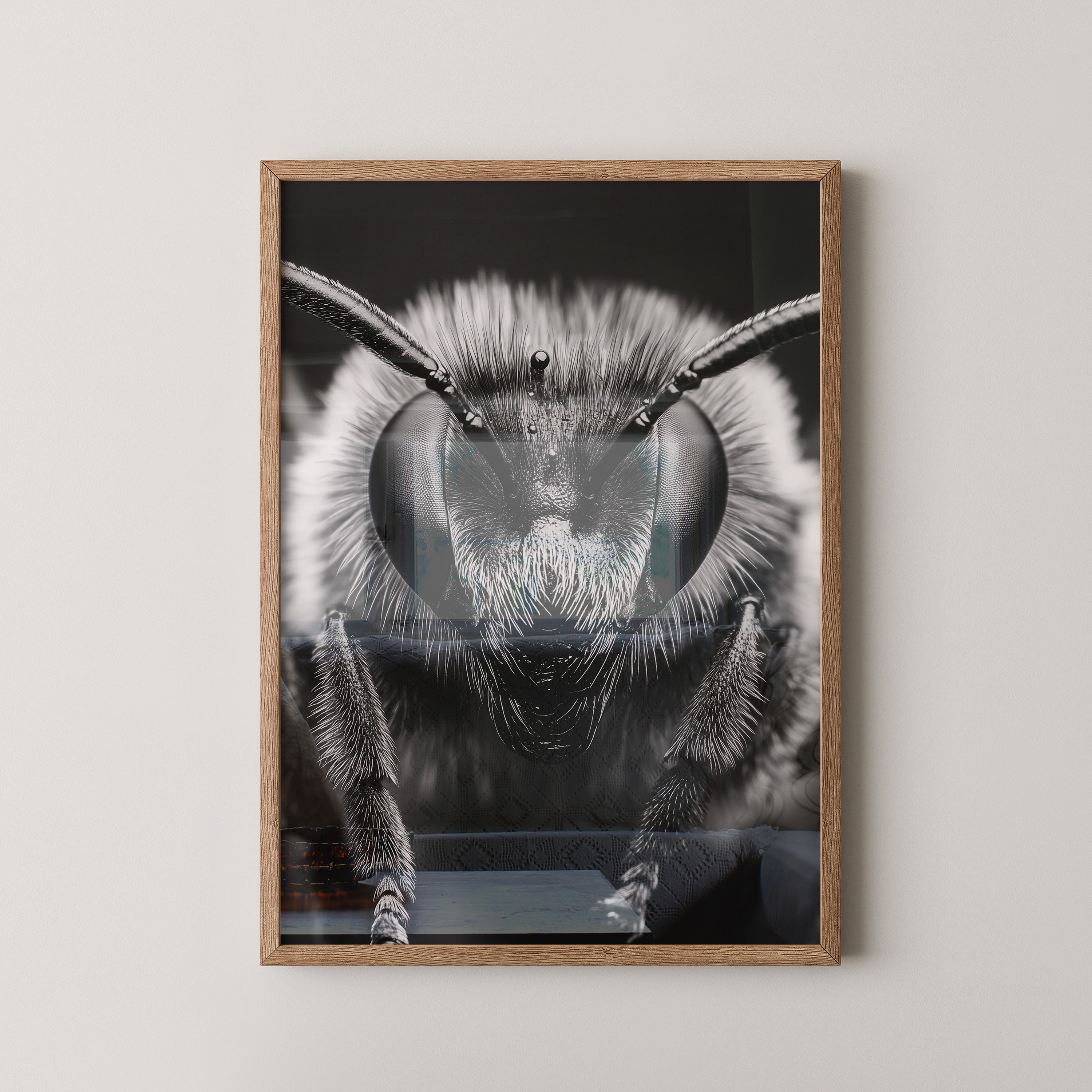 Biene Makro Schwarzweiß