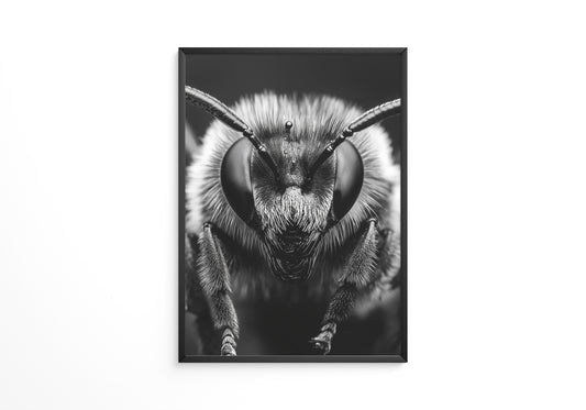 Biene Makro Schwarzweiß