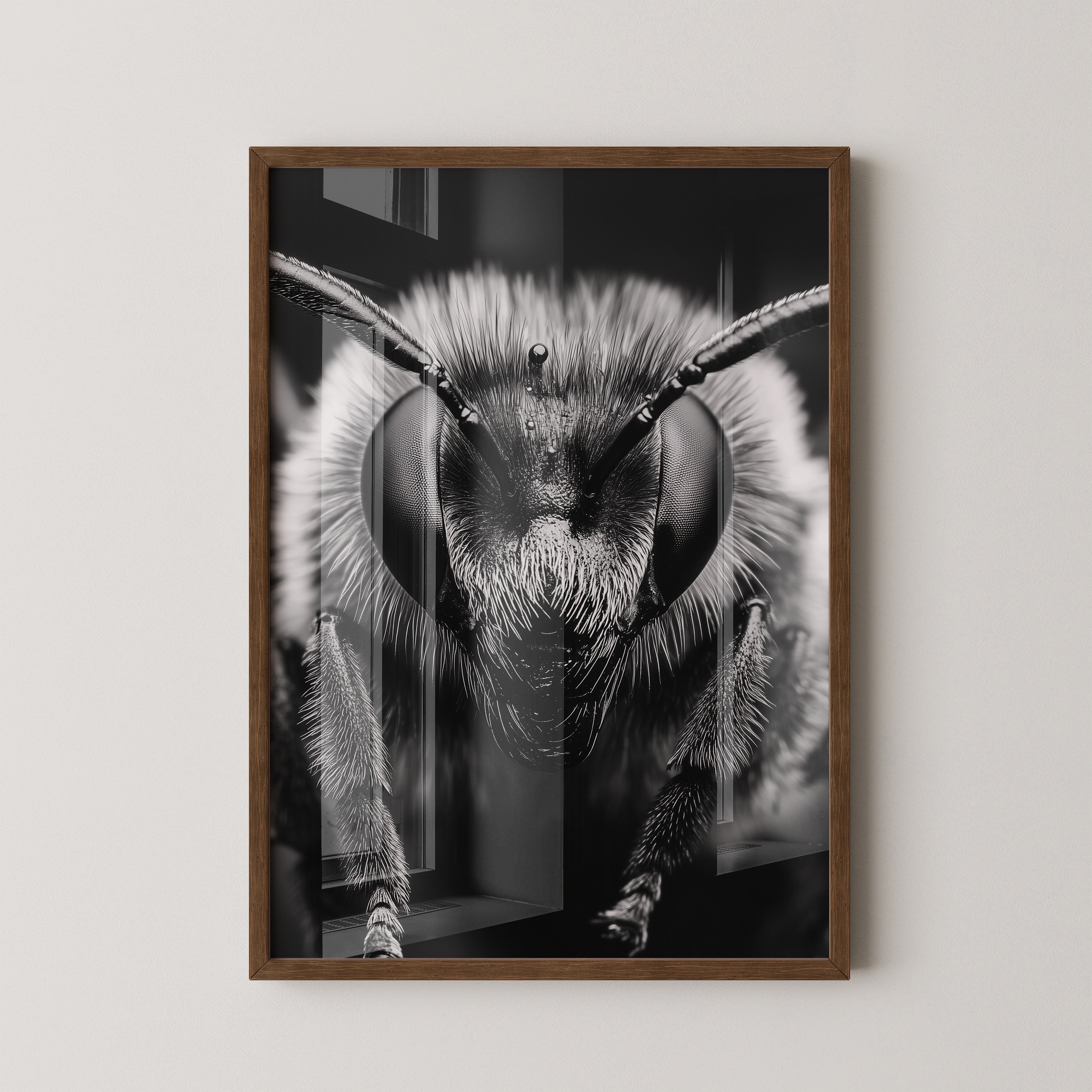 Biene Makro Schwarzweiß