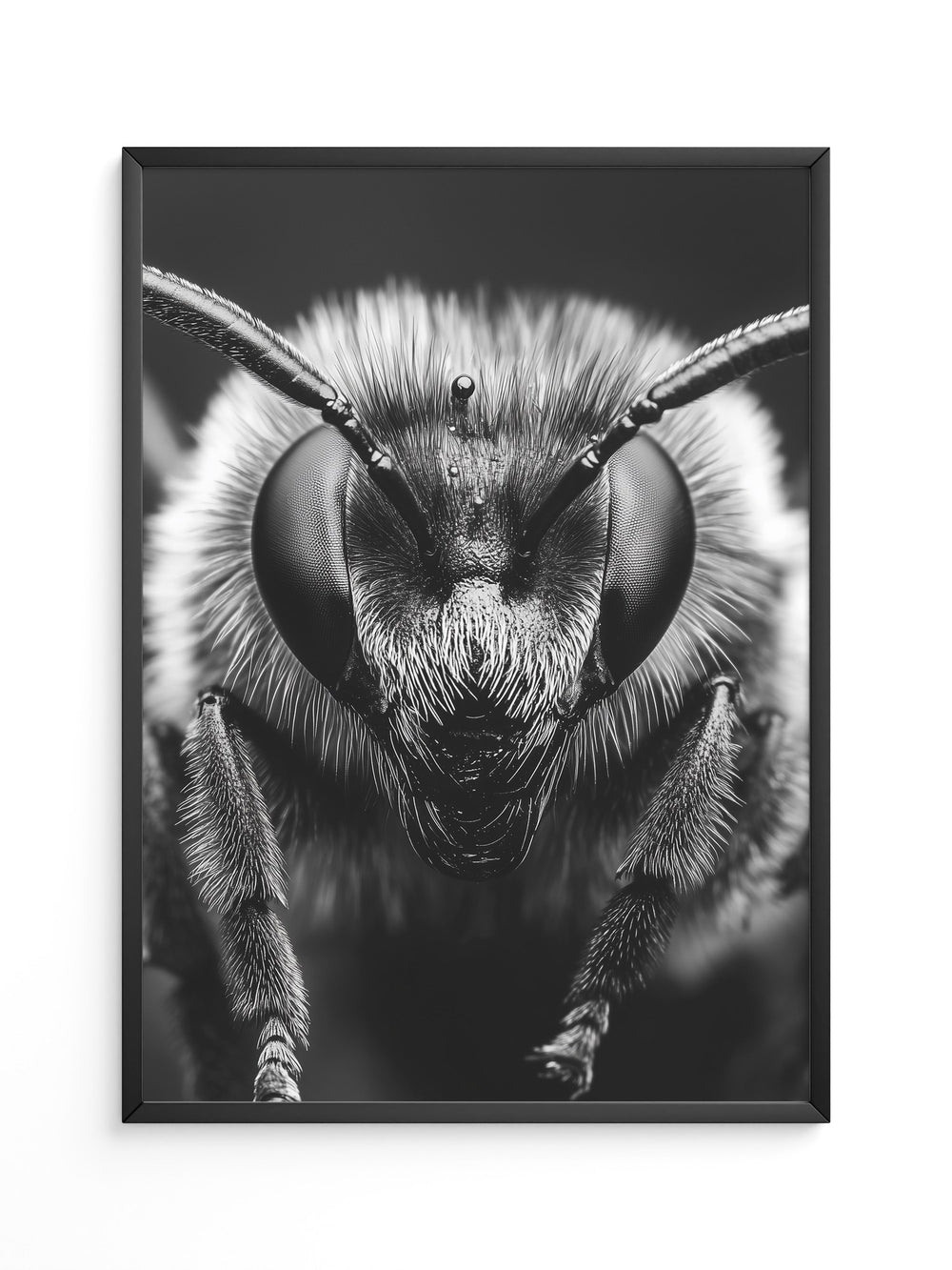 Biene Makro Schwarzweiß