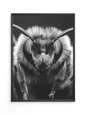 Biene Makro Schwarzweiß