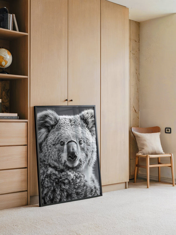 Koala Porträt Schwarzweiß