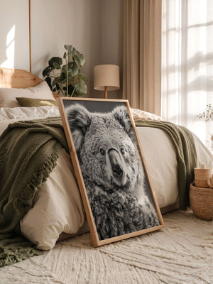 Koala Porträt Schwarzweiß
