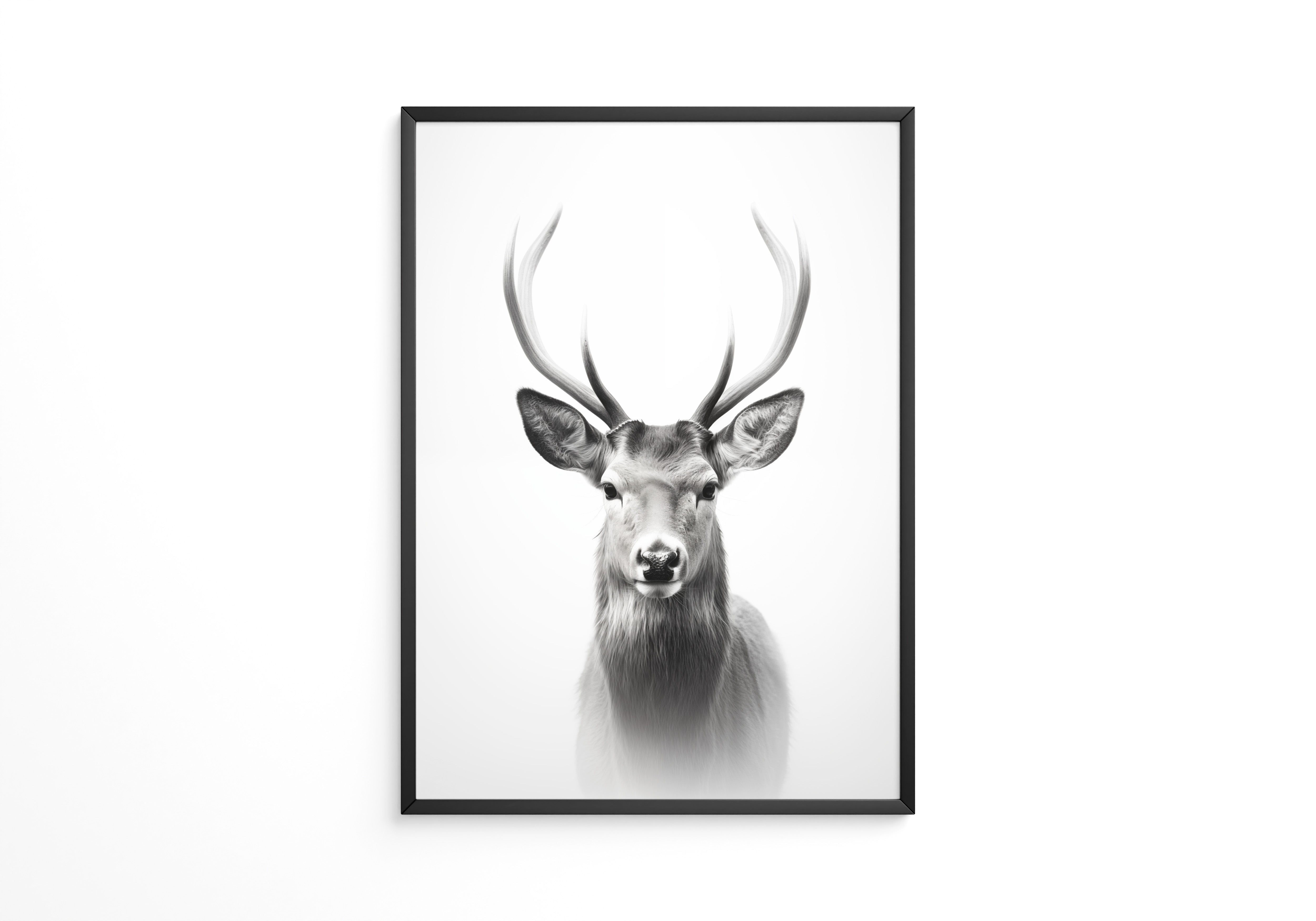 Hirsch Porträt Schwarzweiß
