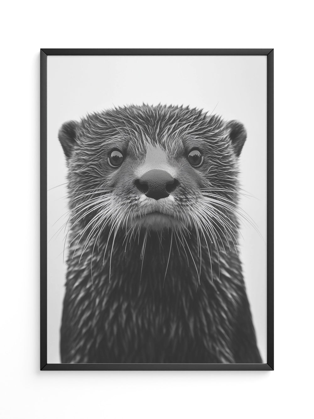 Otter Porträt Schwarzweiß