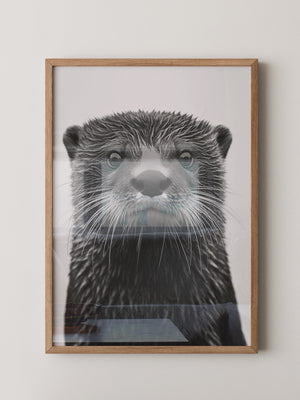 Otter Porträt Schwarzweiß