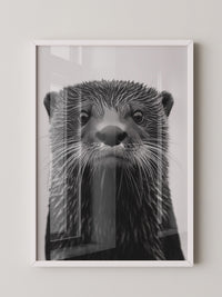 Otter Porträt Schwarzweiß