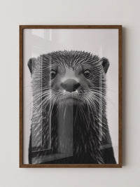 Otter Porträt Schwarzweiß