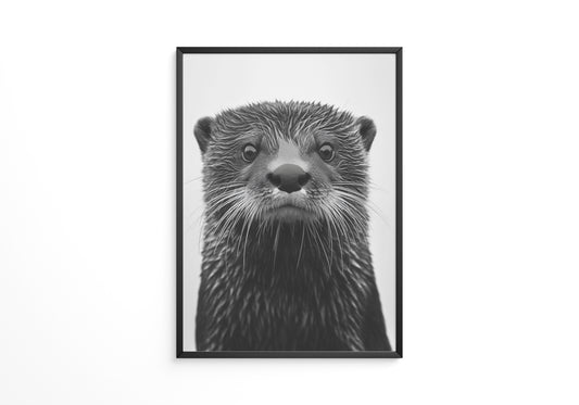 Otter Porträt Schwarzweiß