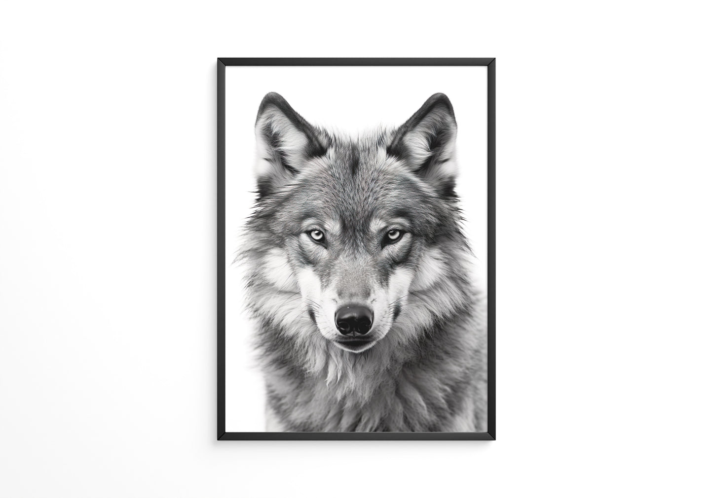 Wolf Porträt Nahaufnahme S/W