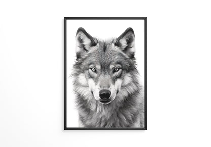Wolf Porträt Nahaufnahme S/W