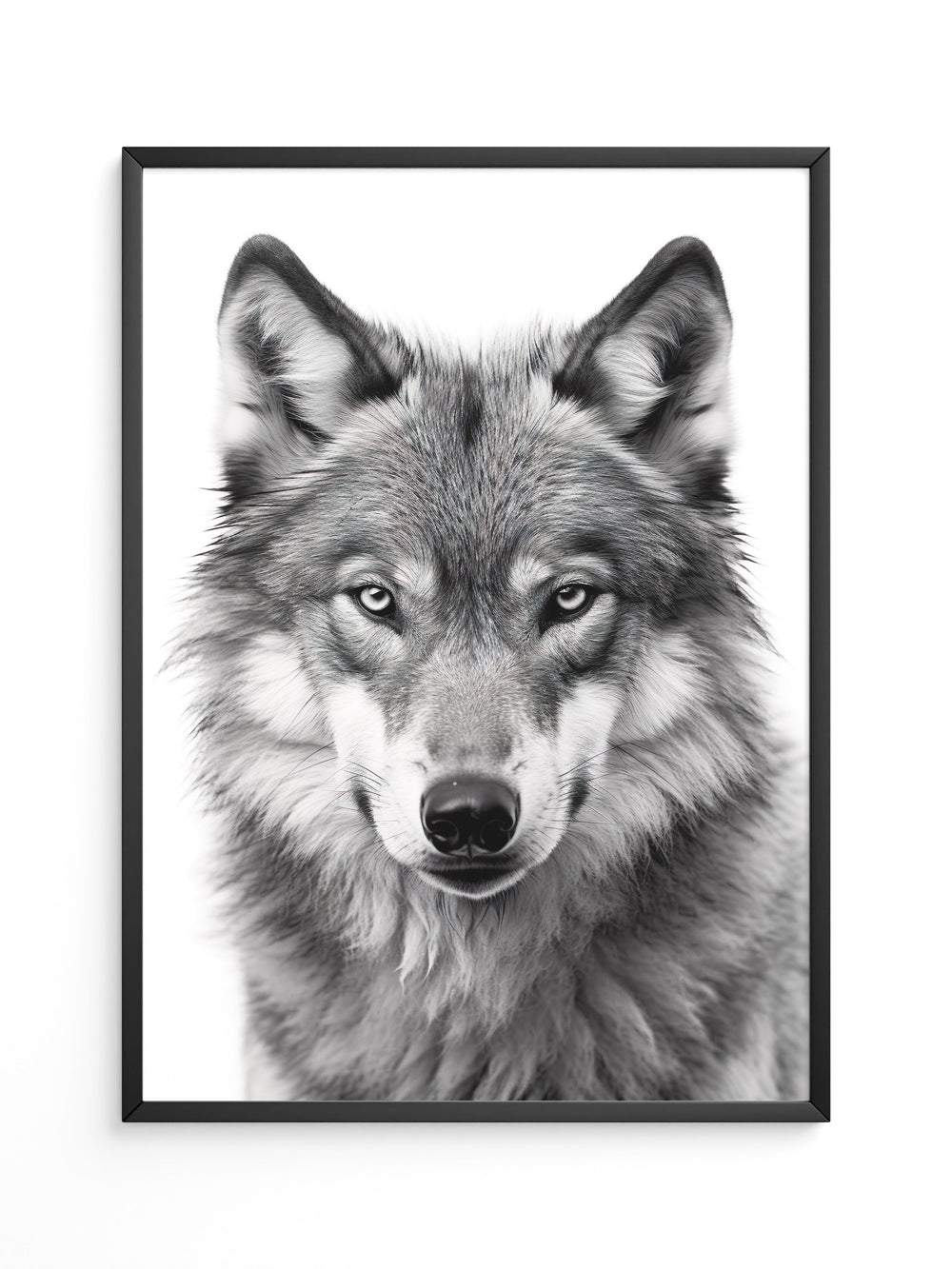 Wolf Porträt Nahaufnahme S/W