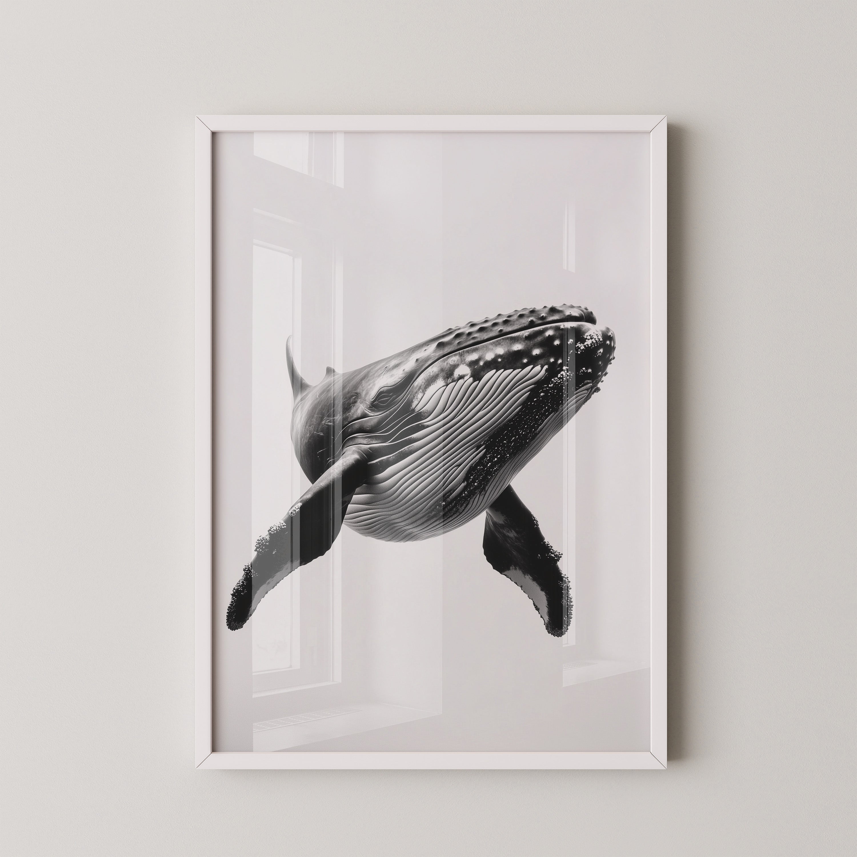 Buckelwal Nahaufnahme S/W