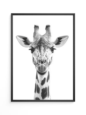 Giraffe Nahaufnahme S/W