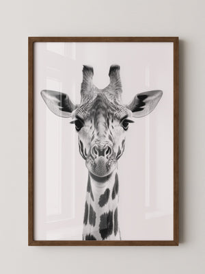 Giraffe Nahaufnahme S/W