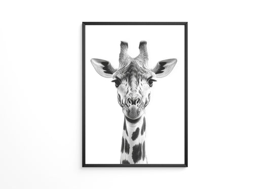 Giraffe Nahaufnahme S/W