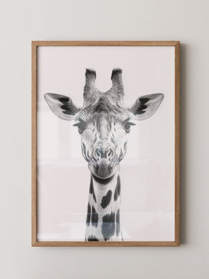 Giraffe Nahaufnahme S/W