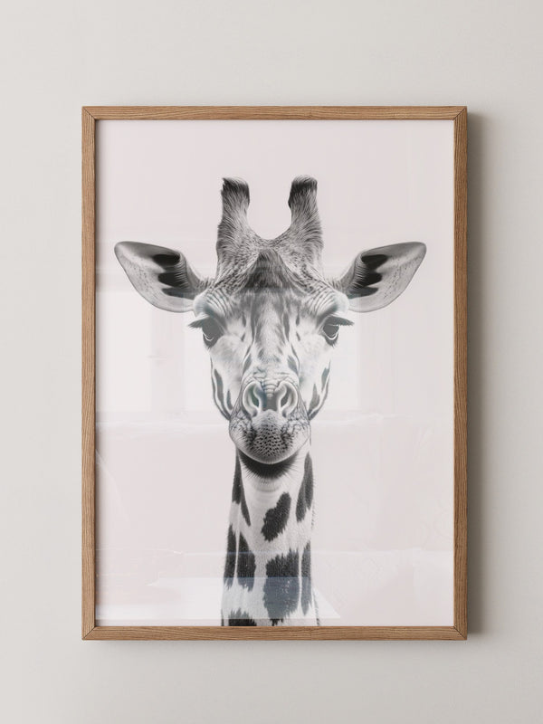 Giraffe Nahaufnahme S/W