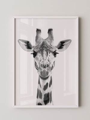 Giraffe Nahaufnahme S/W