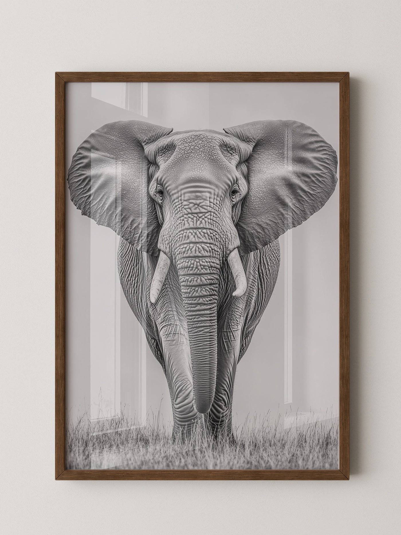 Elefant Frontalansicht schwarz-weiß