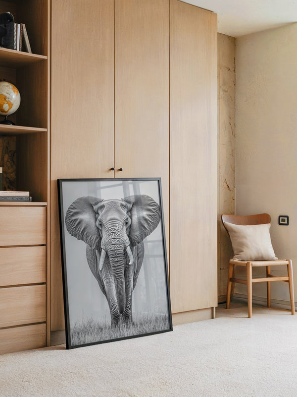 Elefant Frontalansicht schwarz-weiß