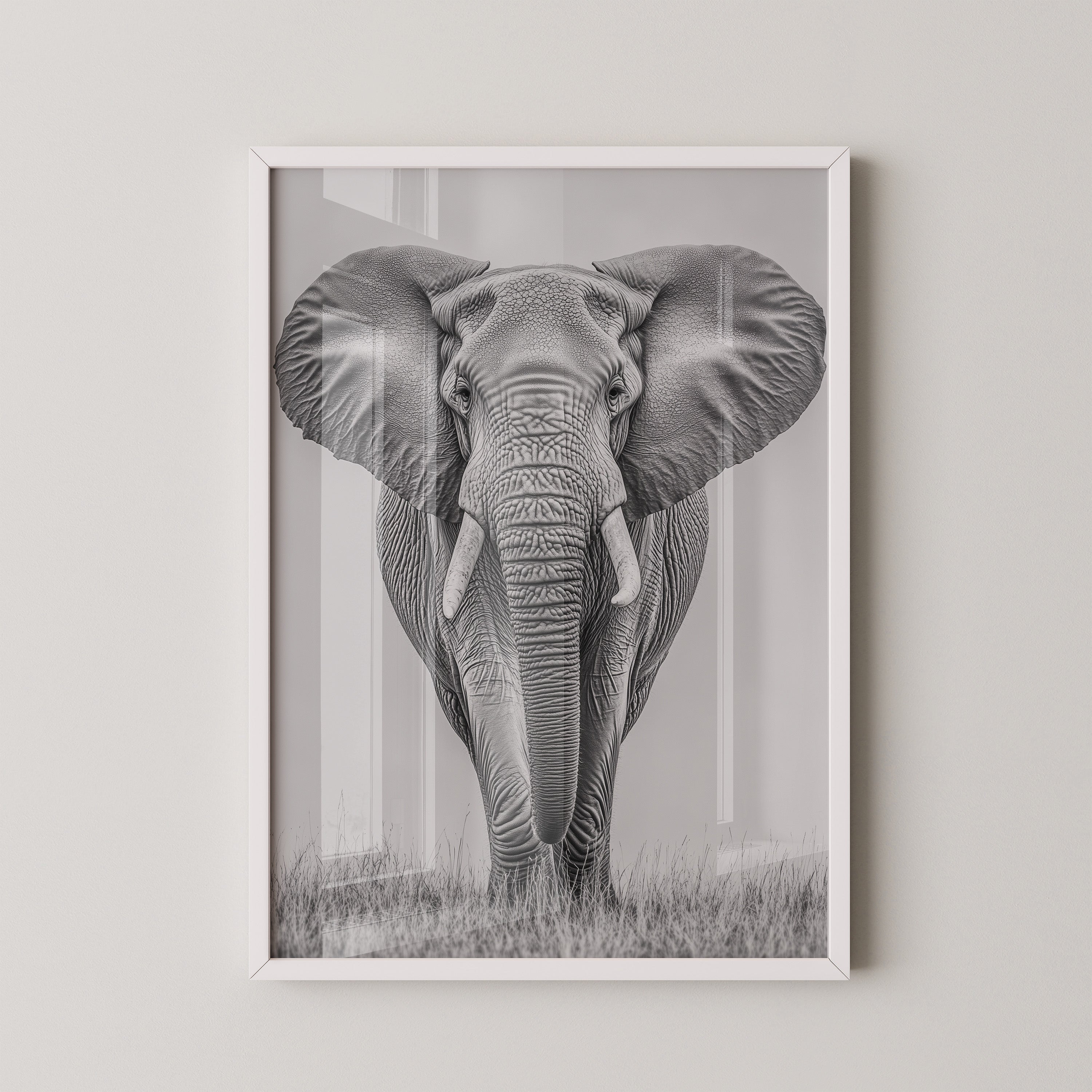 Elefant Frontalansicht schwarz-weiß