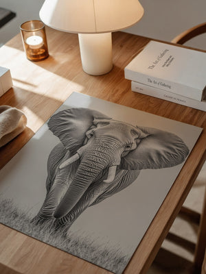 Elefant Frontalansicht schwarz-weiß