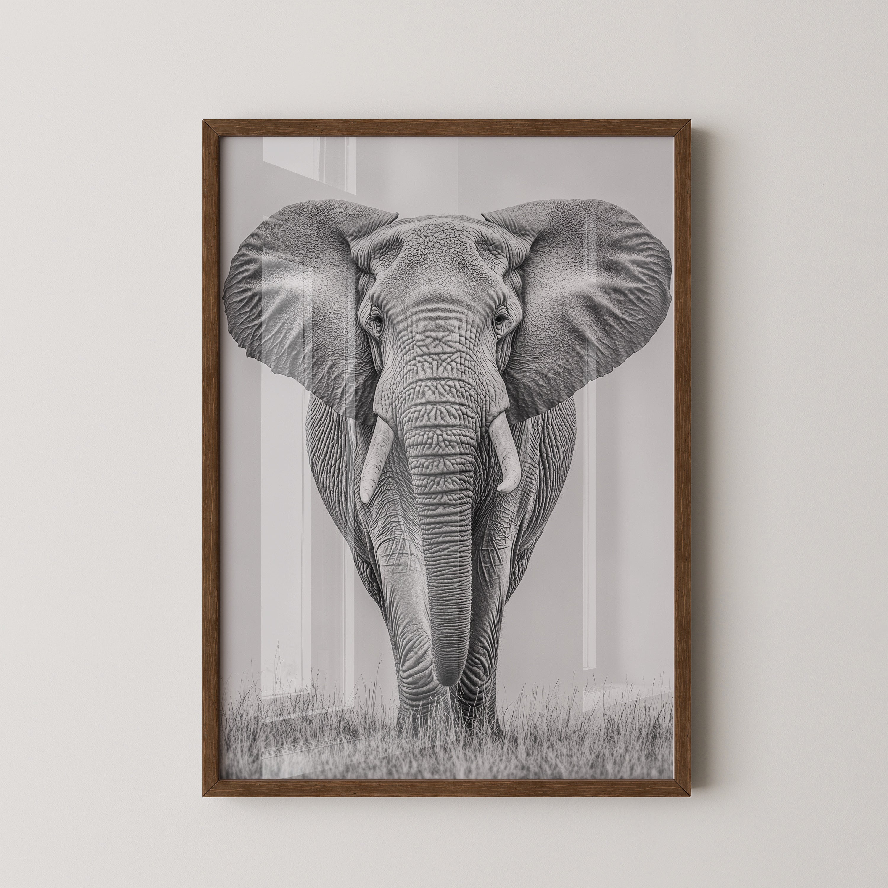 Elefant Frontalansicht schwarz-weiß