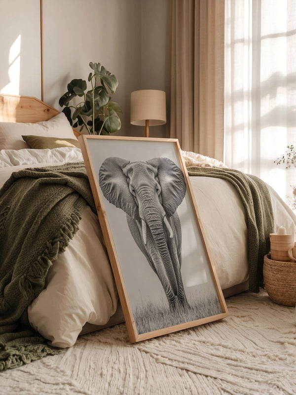 Elefant Frontalansicht schwarz-weiß